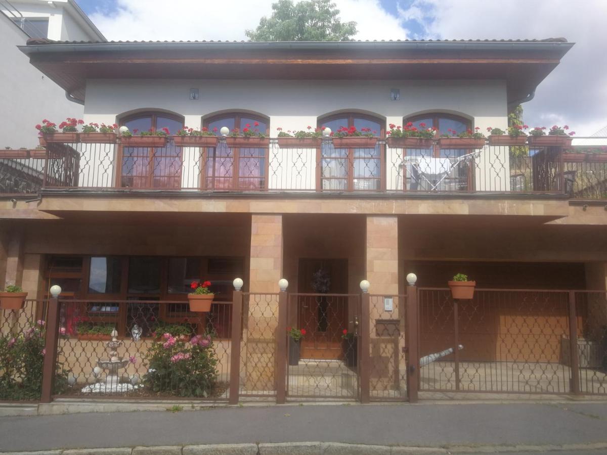 Vila Barrandov Praha Exteriér fotografie